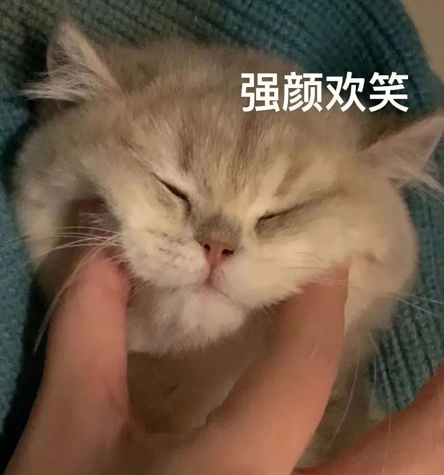 微信图片_20240807183354.jpg