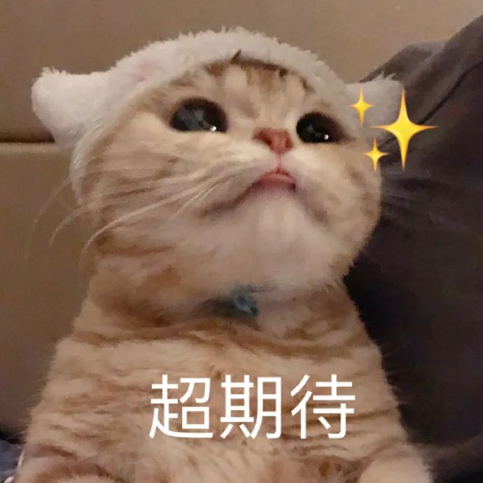 微信图片_20240809180704.jpg