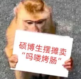 微信图片_20240815171203.jpg