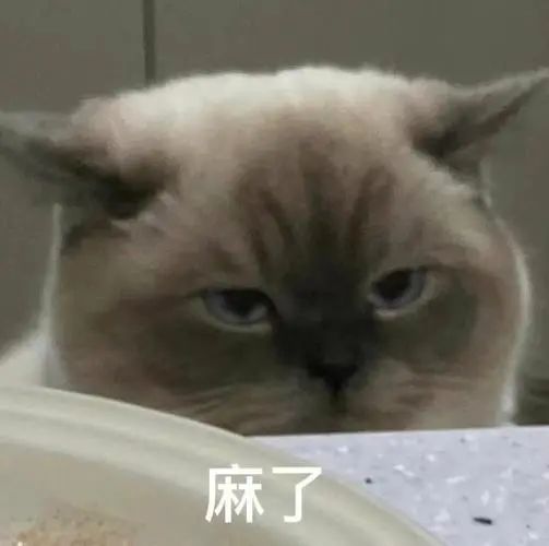 微信图片_20240822130212.jpg