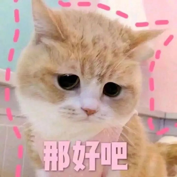 微信图片_20240828162548.jpg