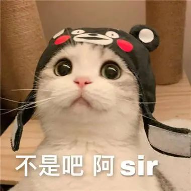 微信图片_20240904161605.jpg