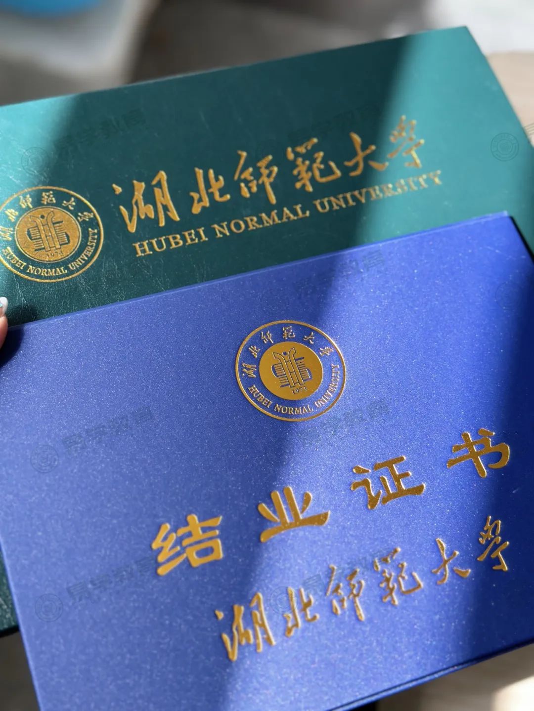 微信图片_20240906165501.jpg
