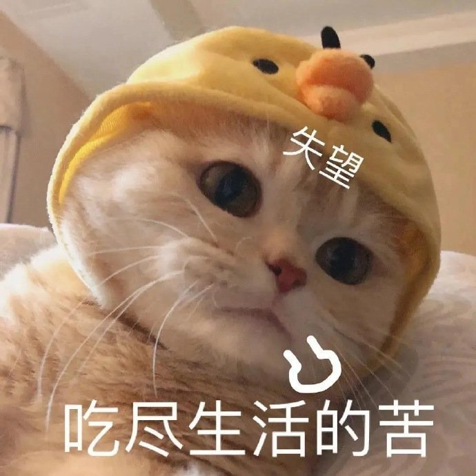 微信图片_20240914174543.png