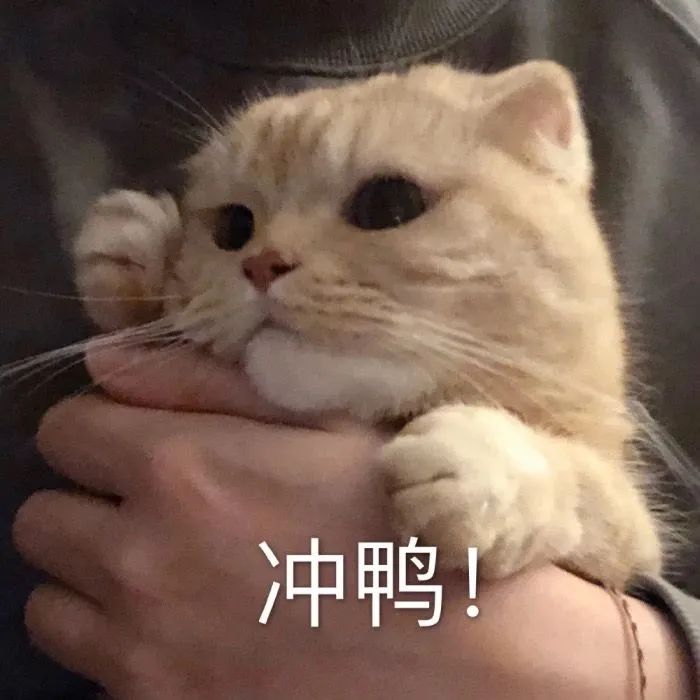 微信图片_20240918172747.jpg