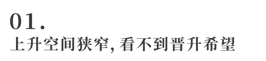 1734665119965.jpg
