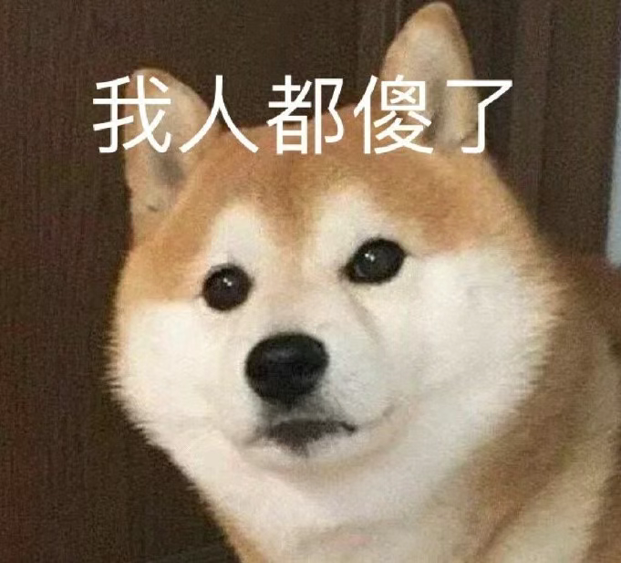 1735788351889.jpg
